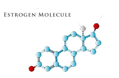 estrogens-facts