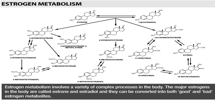 Οιστρογόνα