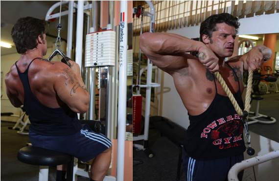 ΕΚΓΥΜΝΑΣΗ ΔΙΑΦΟΡΕΤΙΚΩΝ ΜΥΙΚΩΝ ΟΜΑΔΩΝ