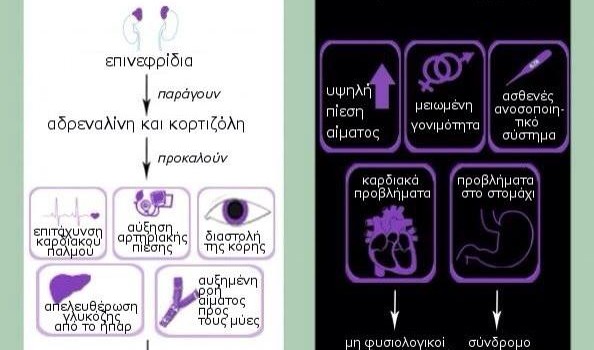ΟΞΥ ΚΑΙ ΧΡΟΝΙΟ STRESS