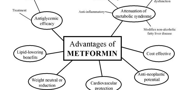 Ο ΡΟΛΟΣ ΤΗΣ ΜΕΤΦΟΡΜΙΝΗΣ ΣΤΗ ΓΗΡΑΝΣΗ ΚΑΙ ΤΟΝ ΚΑΡΚΙΝΟ