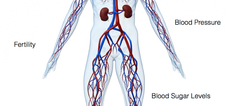 ΥΠΟΚΟΡΤΙΖΟΛΑΙΜΙΑ