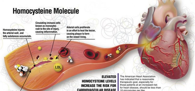 ΑΑΣ  ΚΑΙ  ΟΜΟΚΥΣΤΕΙΝΗ