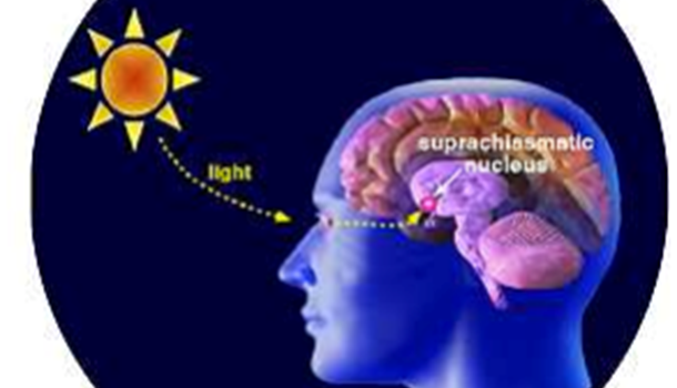 ΜΕΛΑΤΟΝΙΝΗ  ΚΑΙ  ΑΣΚΗΣΗ
