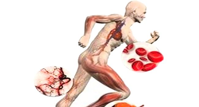 ERYTHROPOIESIS AND ATHLETIC PERFORMANCE