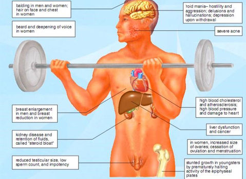 MAIN  ADVERSE  EFFECTS  OF  ANABOLIC  ANDROGENIC  STEROIDS (AAS)